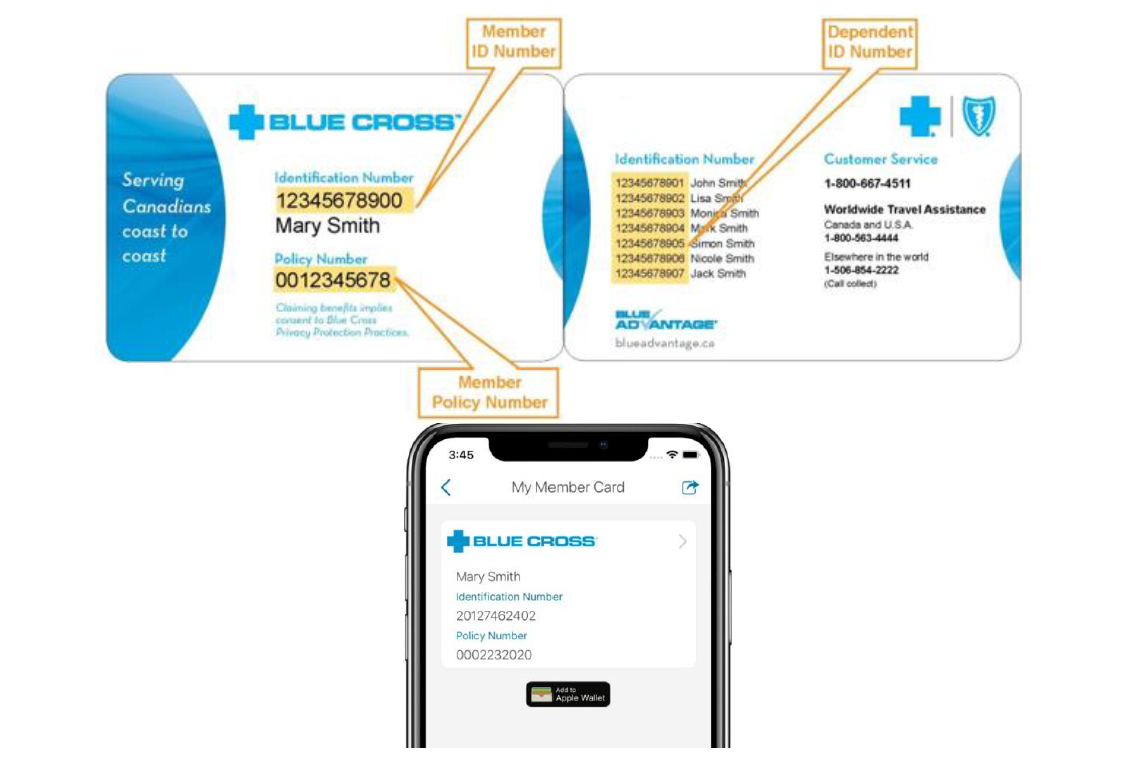 Where Can I Find My Medavie Blue Cross Policy plan Number Sterling 